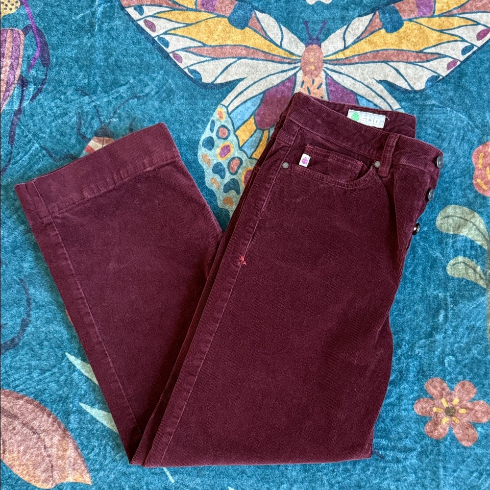 Stio Wide Leg Pants in Deep Wine